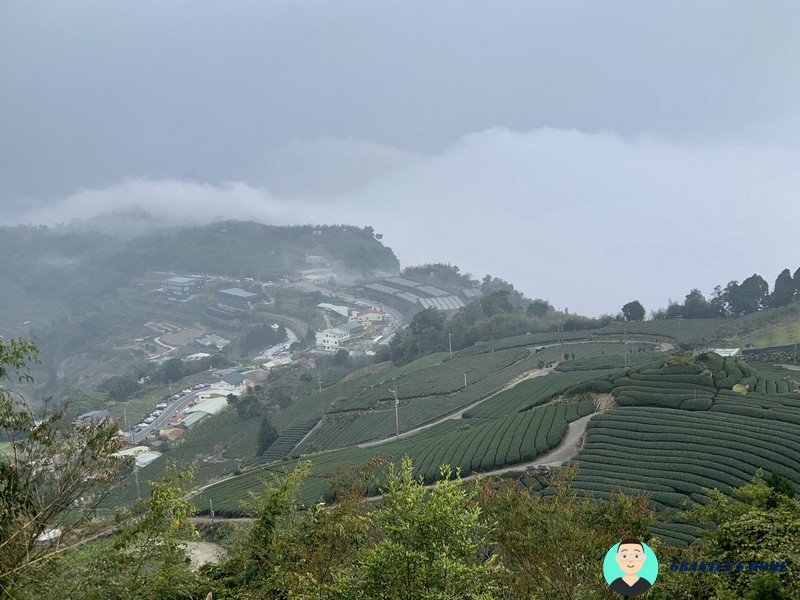 雲跟茶園